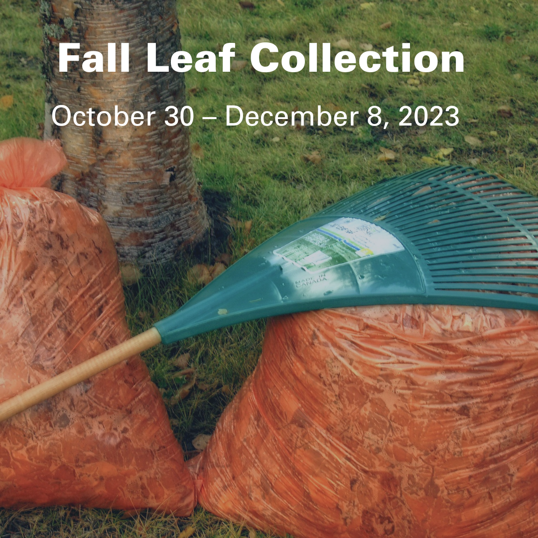 https://city-countyobserver.com/wp-content/uploads/2023/10/Fall-Leaf-Collection-Facebook.png