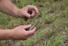 Soil sampling program available for Hoosier farmers