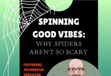 Creep On Over To Willard Public Library! | Oct. 27