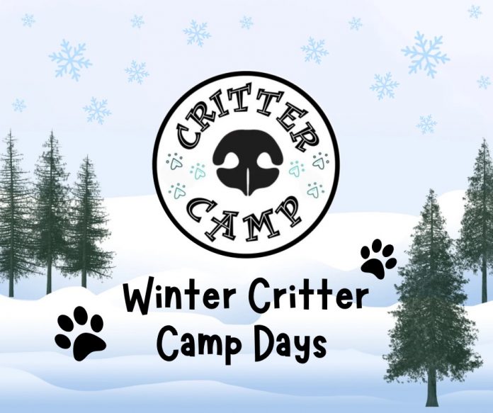 2025 - Winter Critter Camp Days