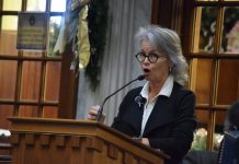 Senate committee pushes redistricting bill forward though future still unknown