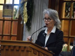 Senate committee pushes redistricting bill forward though future still unknown